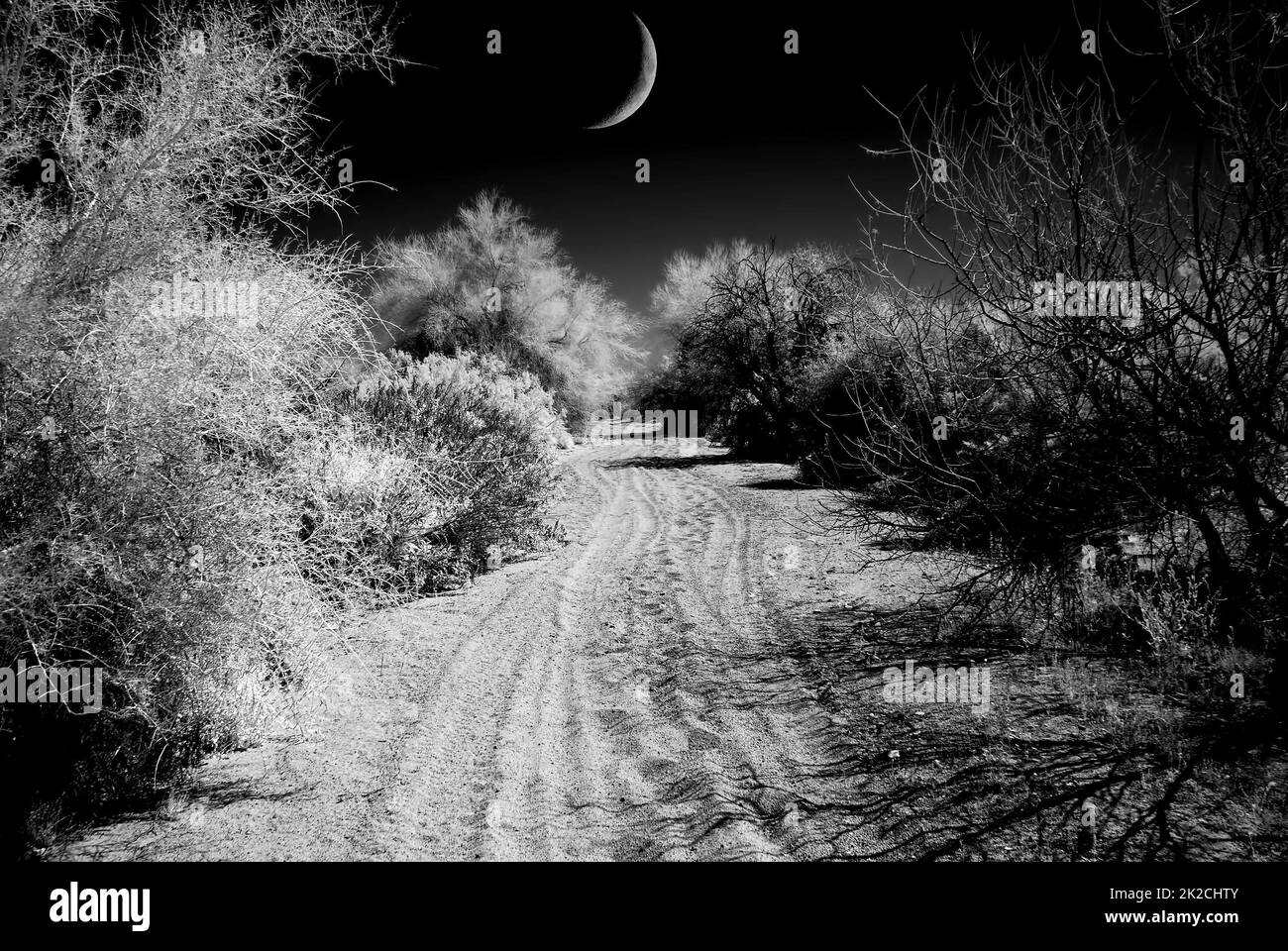 Arizona Sonora Desert road with Moon in infrared monochrome Stock Photo