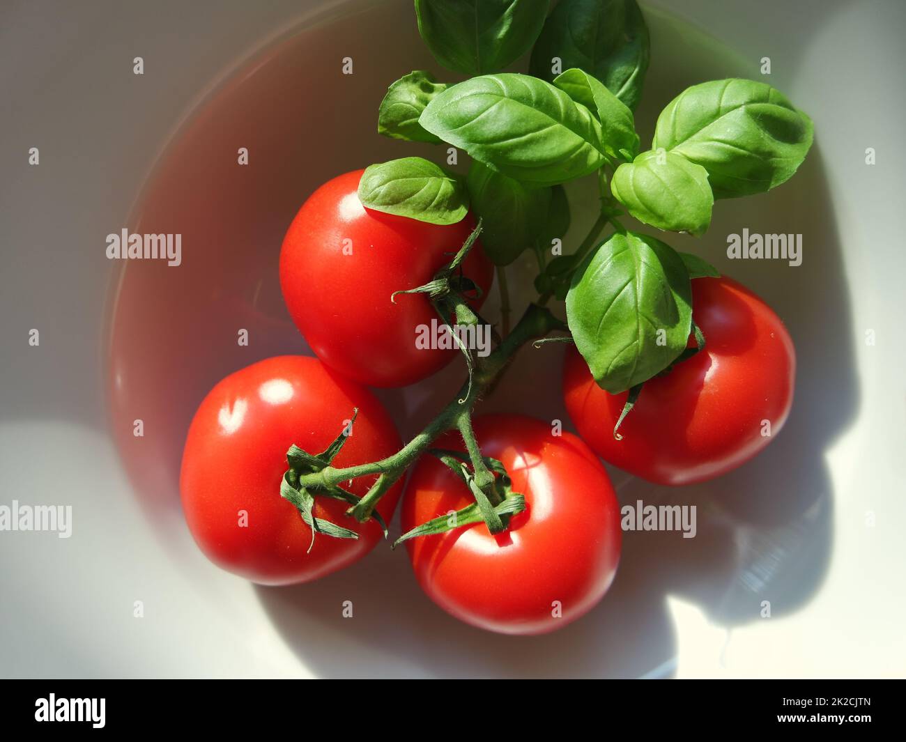 Plate of tomatoes and basil Stock Photo - Alamy