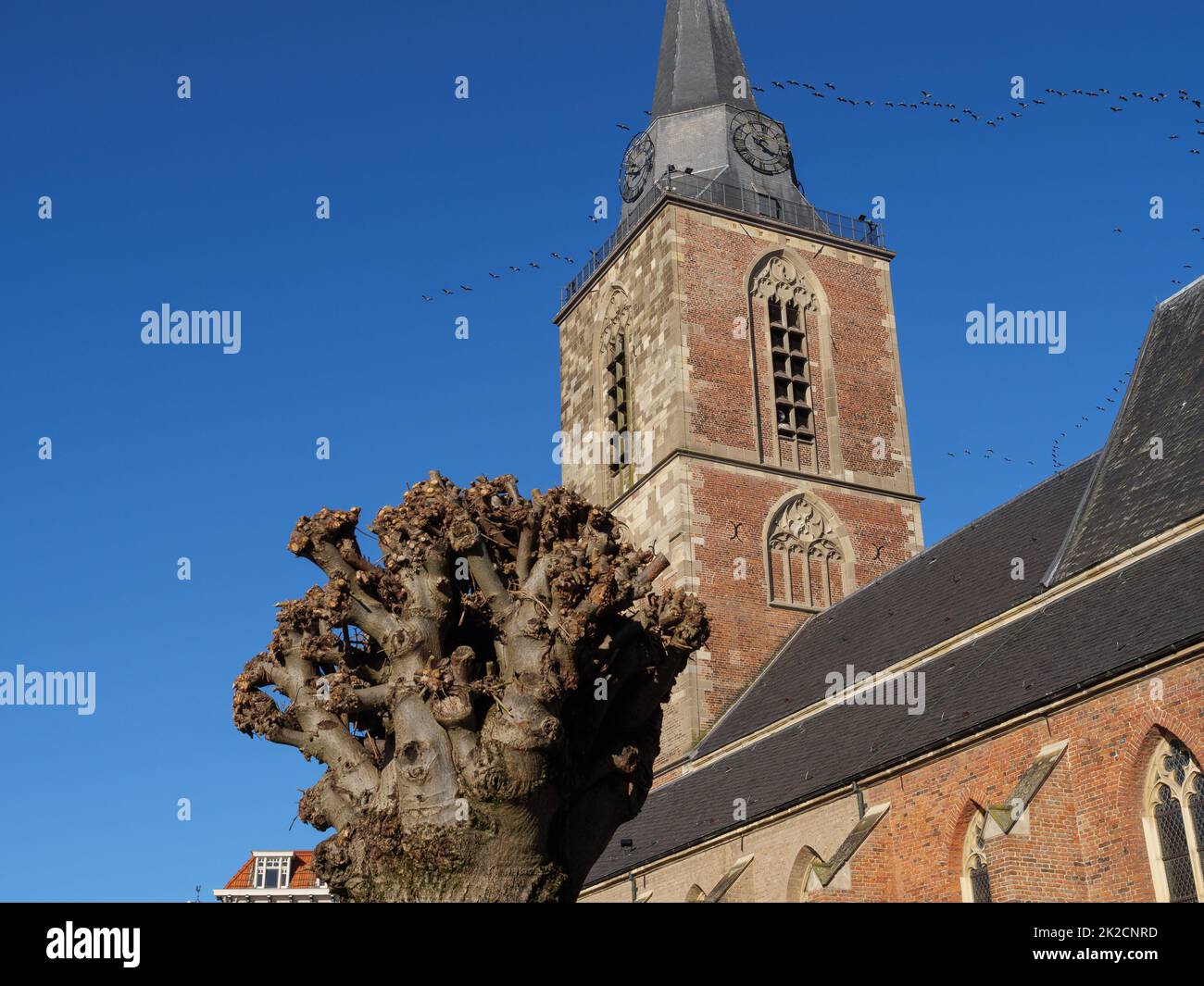 the city of Winterswijk in the Netherlands Stock Photo