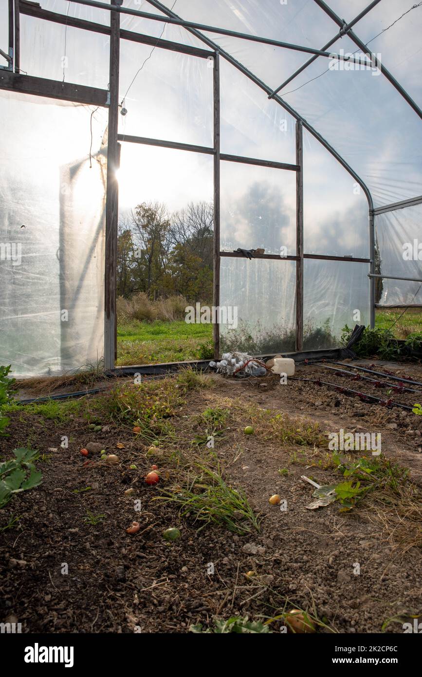 open greenhouse door with tools and irrigation lines Stock Photo Alamy