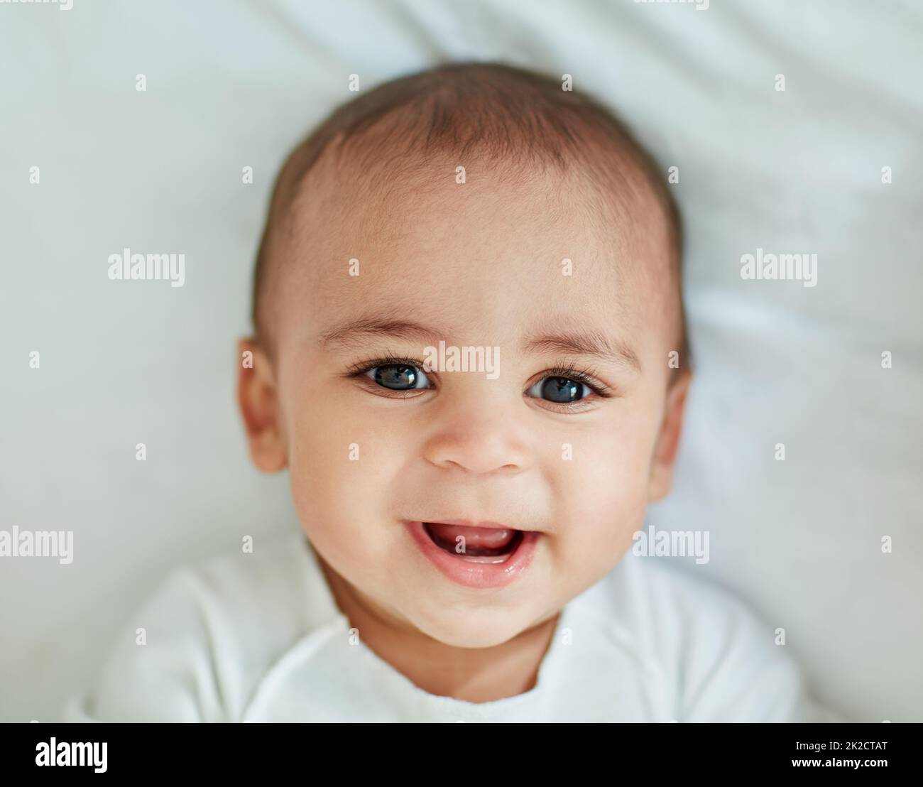 Cuter hi-res stock photography and images - Alamy