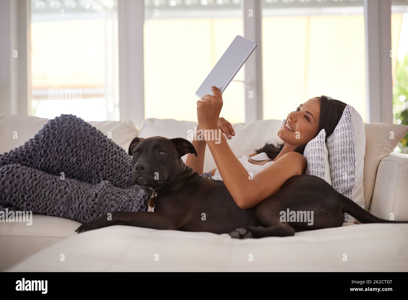 They have apps for pets too these days. Shot of an attractive young woman relaxing on the sofa with her dog and using a digital tablet. Stock Photo