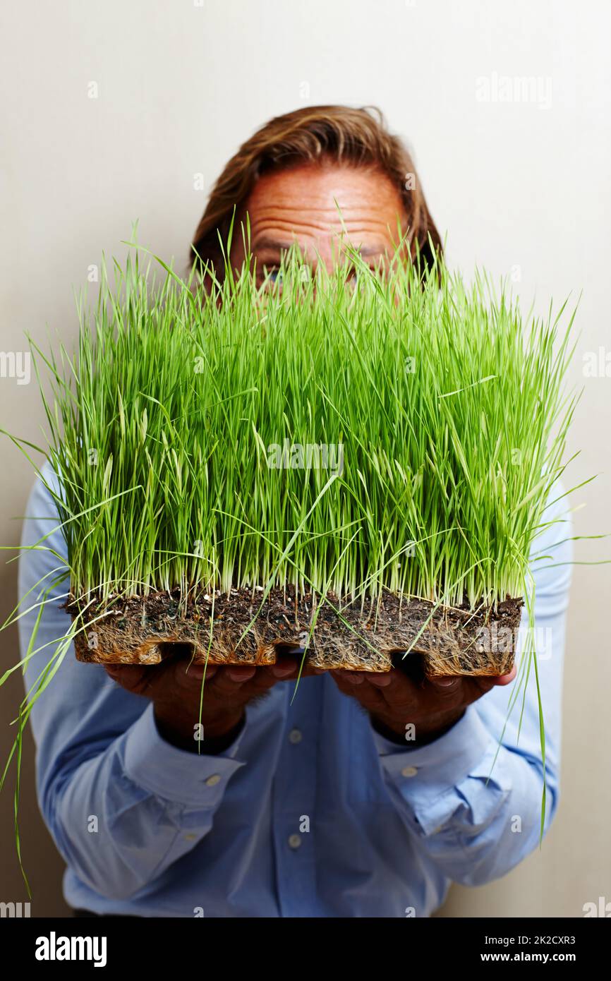 This is some good grass right here. Shot of a man obscuring his face with a patch of grass. Stock Photo