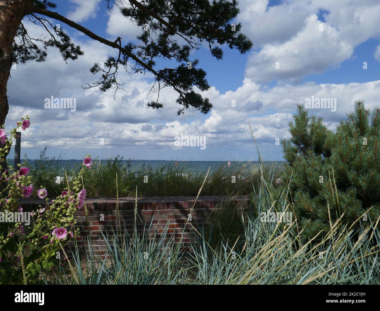 Baltic coast in Niendorf Stock Photo