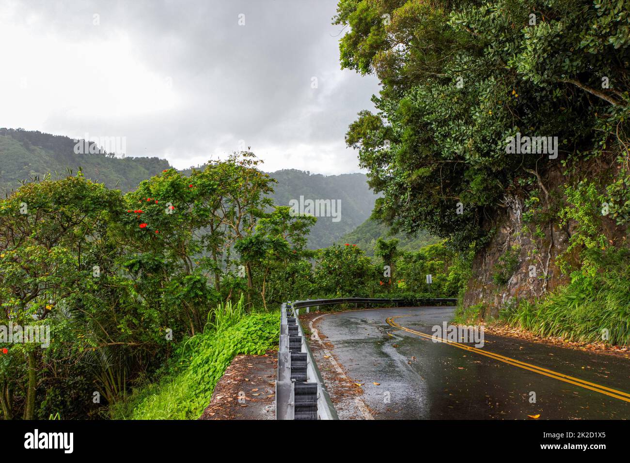 Country road maui hawaii hi-res stock photography and images - Alamy