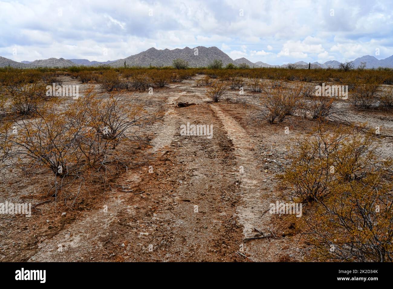 Vehicle Tracks Sonora Desert Arizona San Tan Mountains Stock Photo