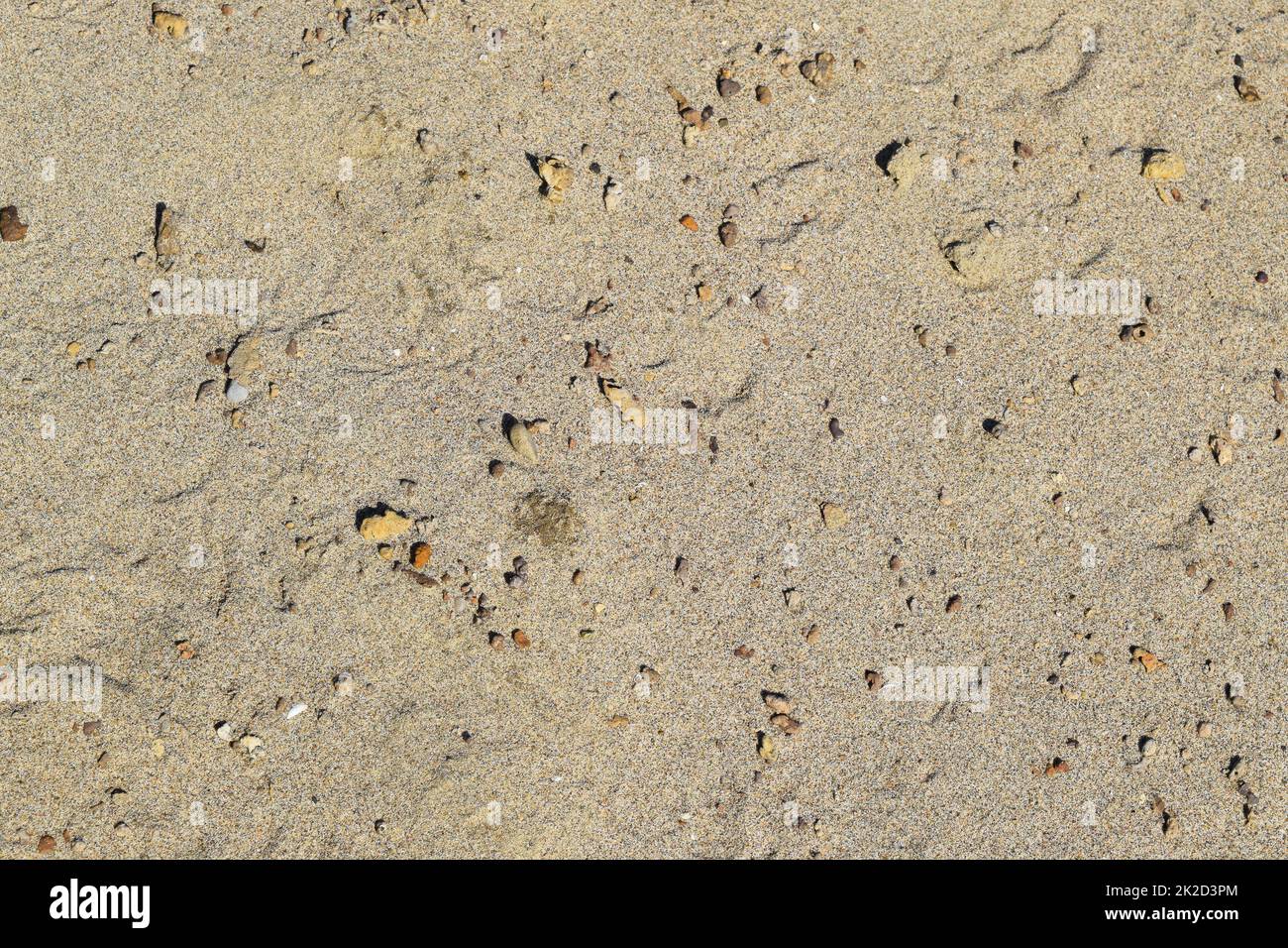 Background from construction sand Stock Photo