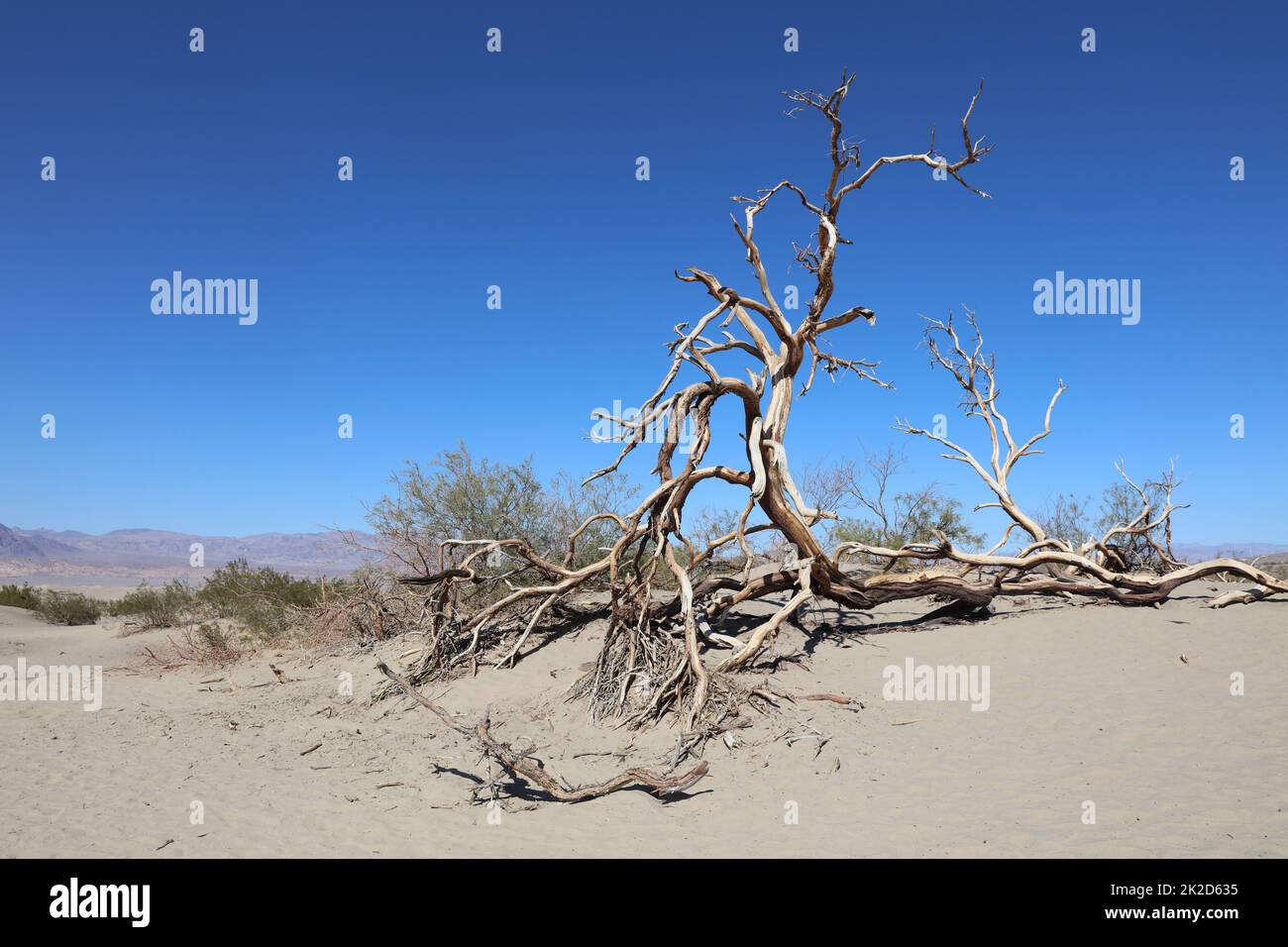 Landscape in Death Valley National Park. California. USA Stock Photo ...