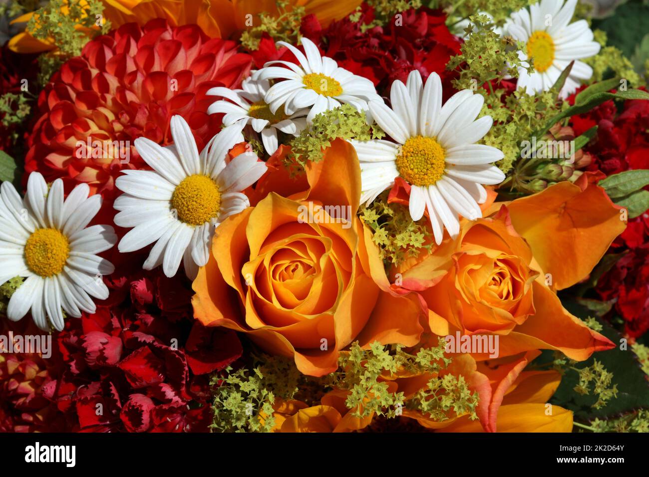 Wonderful fresh Summer Flowers Stock Photo