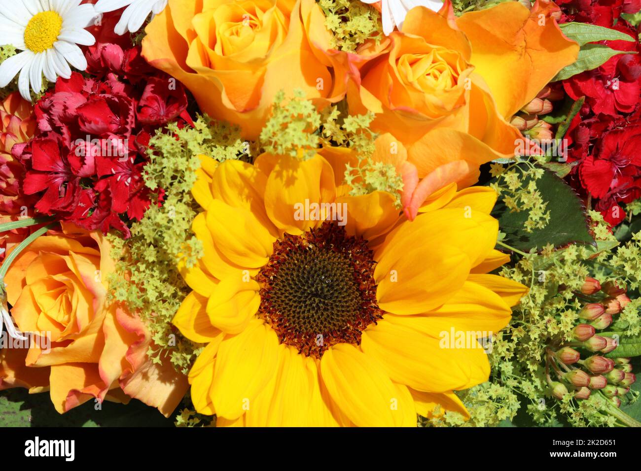 Wonderful fresh Summer Flowers Stock Photo