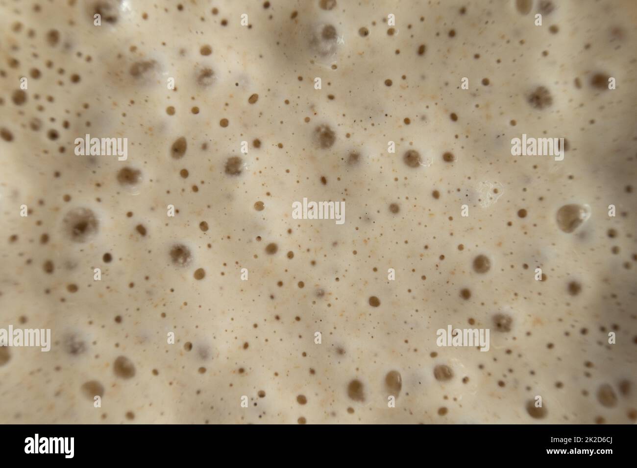 Active and bubbly sourdough starter Stock Photo