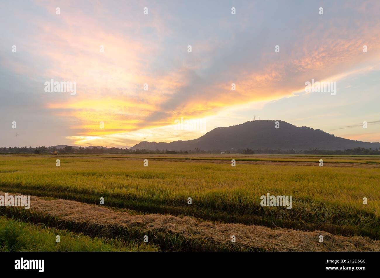 Beautiful morning sunrise colorful cloud Stock Photo - Alamy