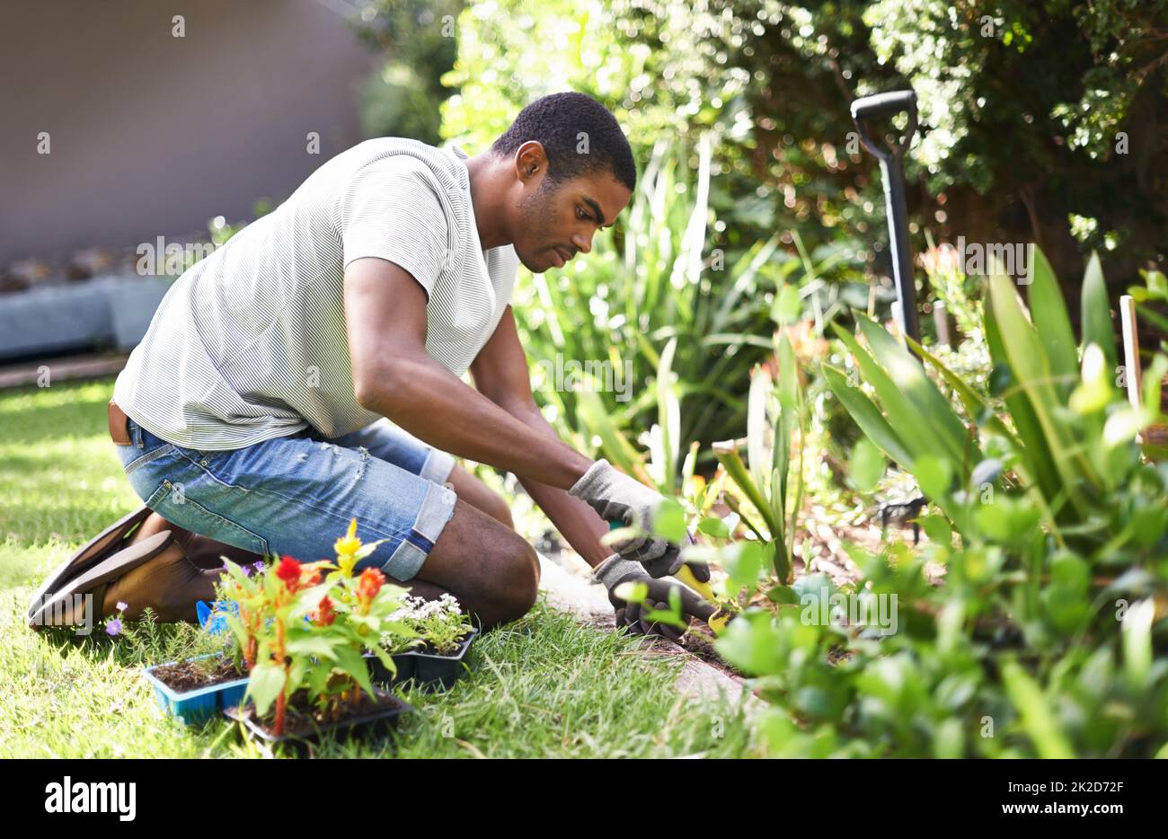 Man gardening hi-res stock photography and images - Alamy
