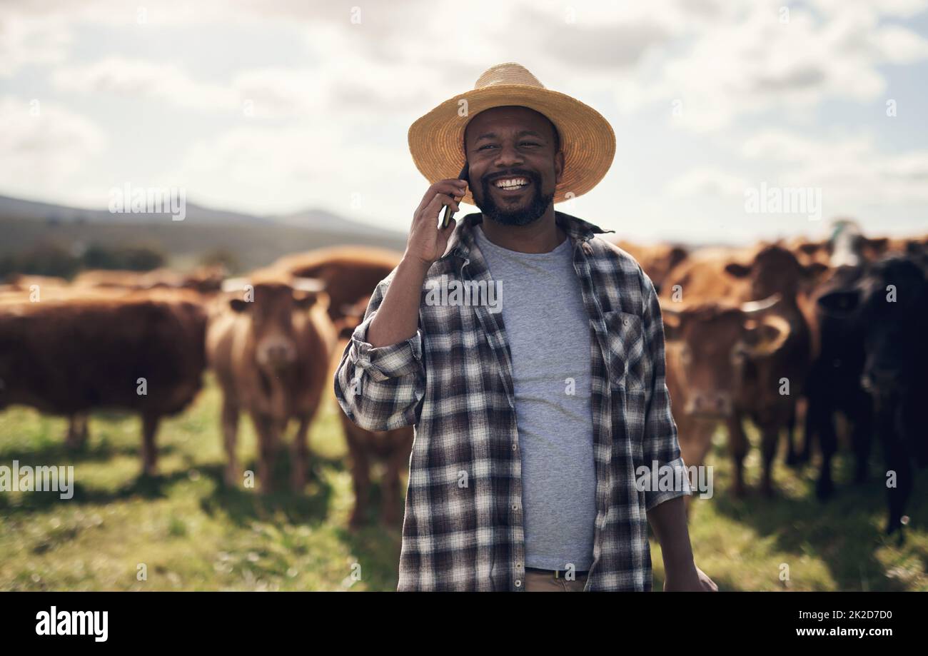 The easiest way to connect with a wider agricultural community. Shot of a mature man using a smartphone while working on a cow farm. Stock Photo