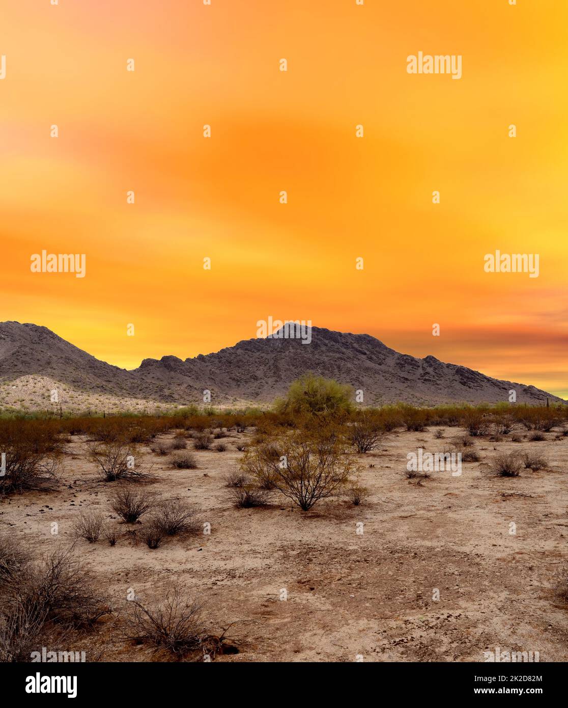 Sonora Desert Sunset Arizona Stock Photo