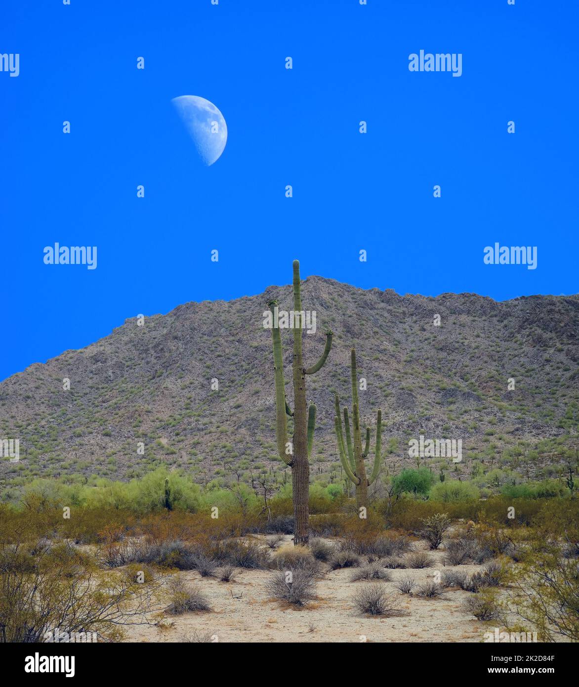 Sonora Desert Moon San Tan Mountains Stock Photo