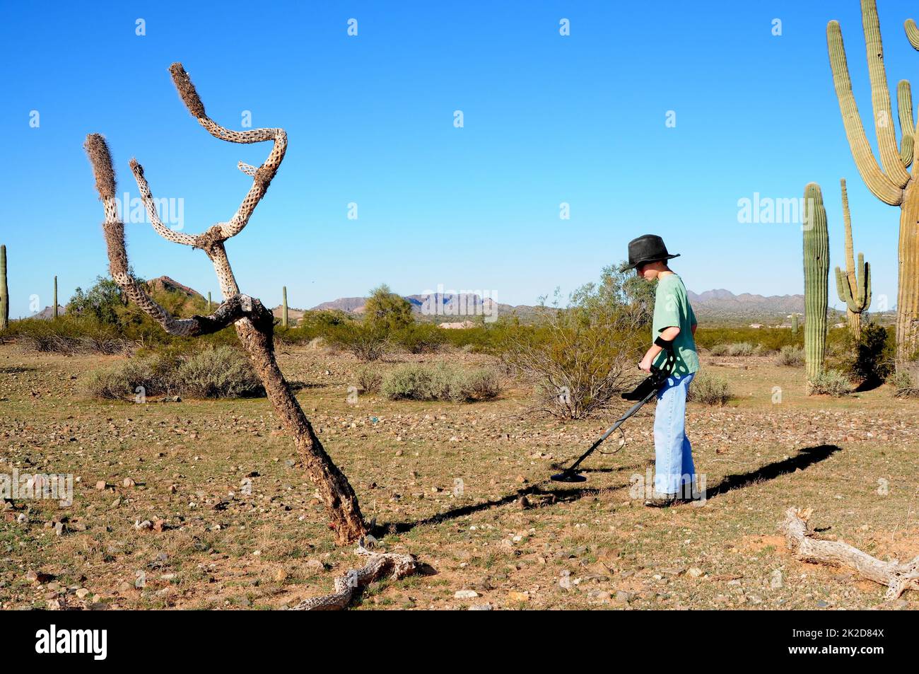 Boy with a metal detector treasure hunting Stock Photo