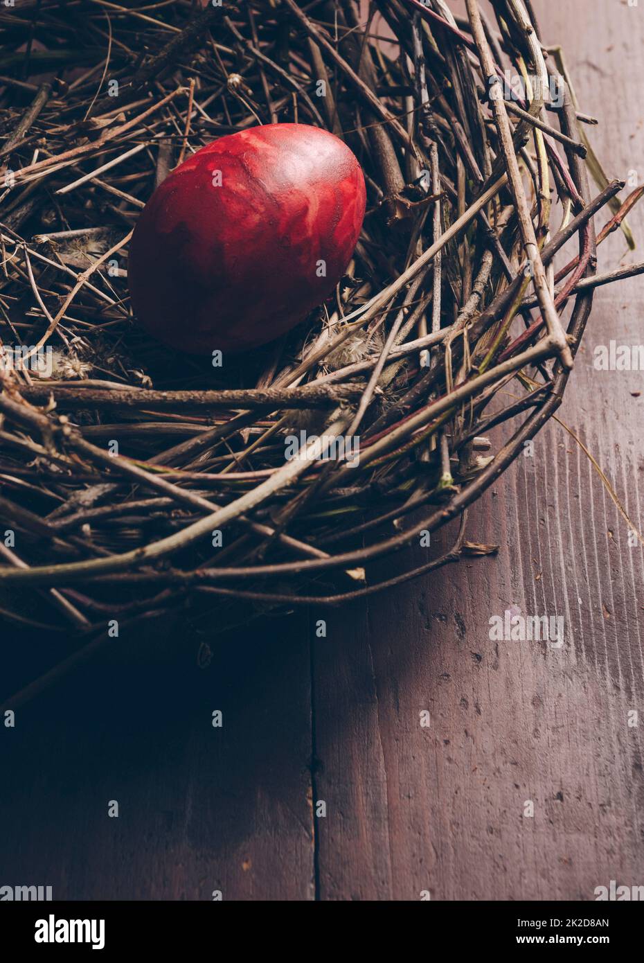 Easter Egg Stock Photo