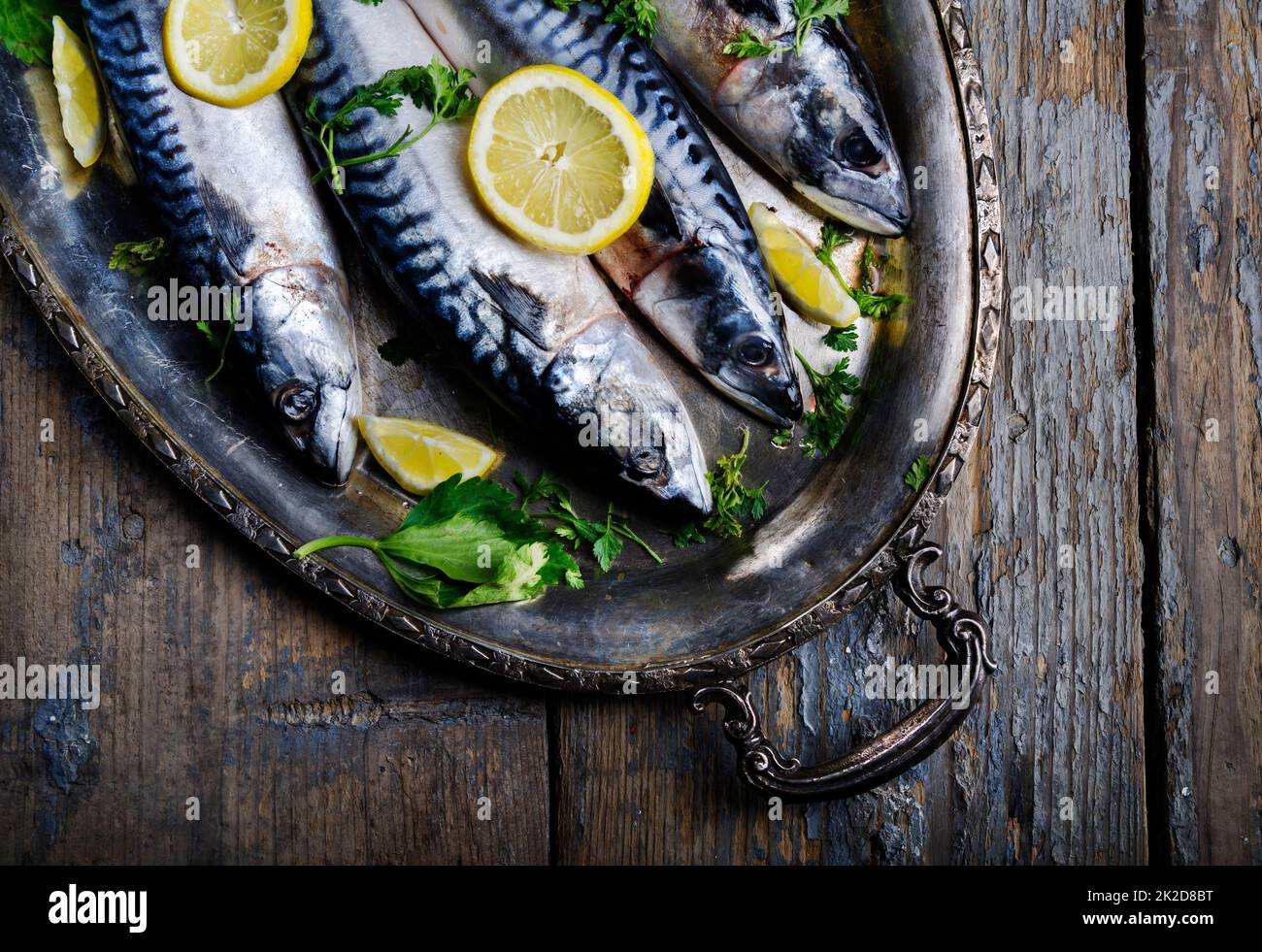 Mackerels on silver plate Stock Photo