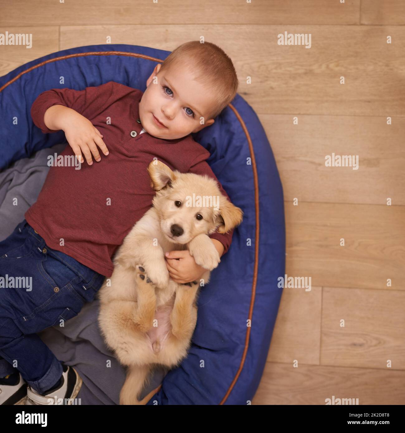 The best friend you can get. An adorable little boy with his puppy at home. Stock Photo