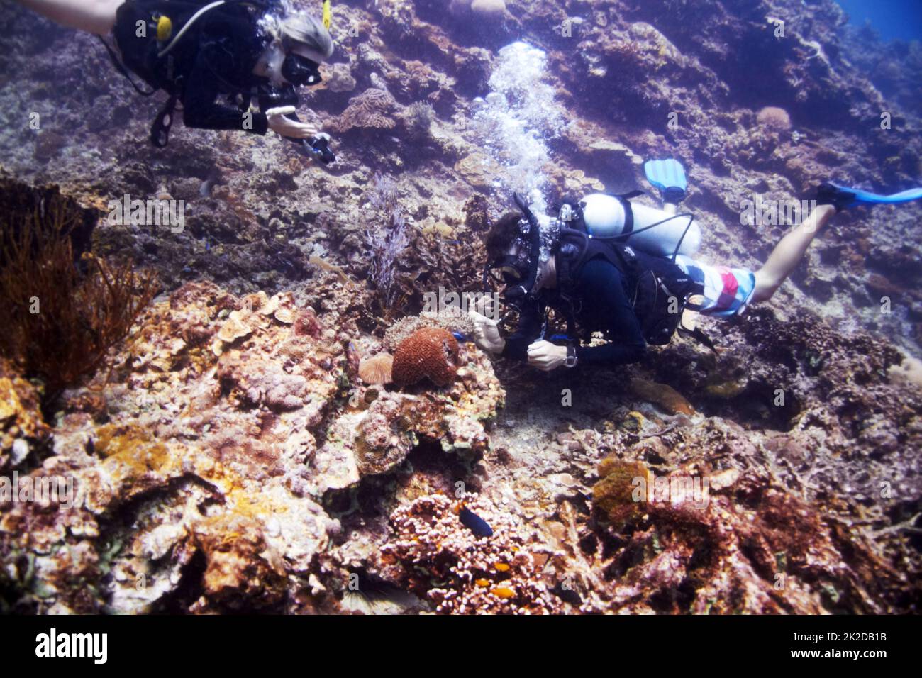 Learning about a hidden environment. Two scuba divers examine a
