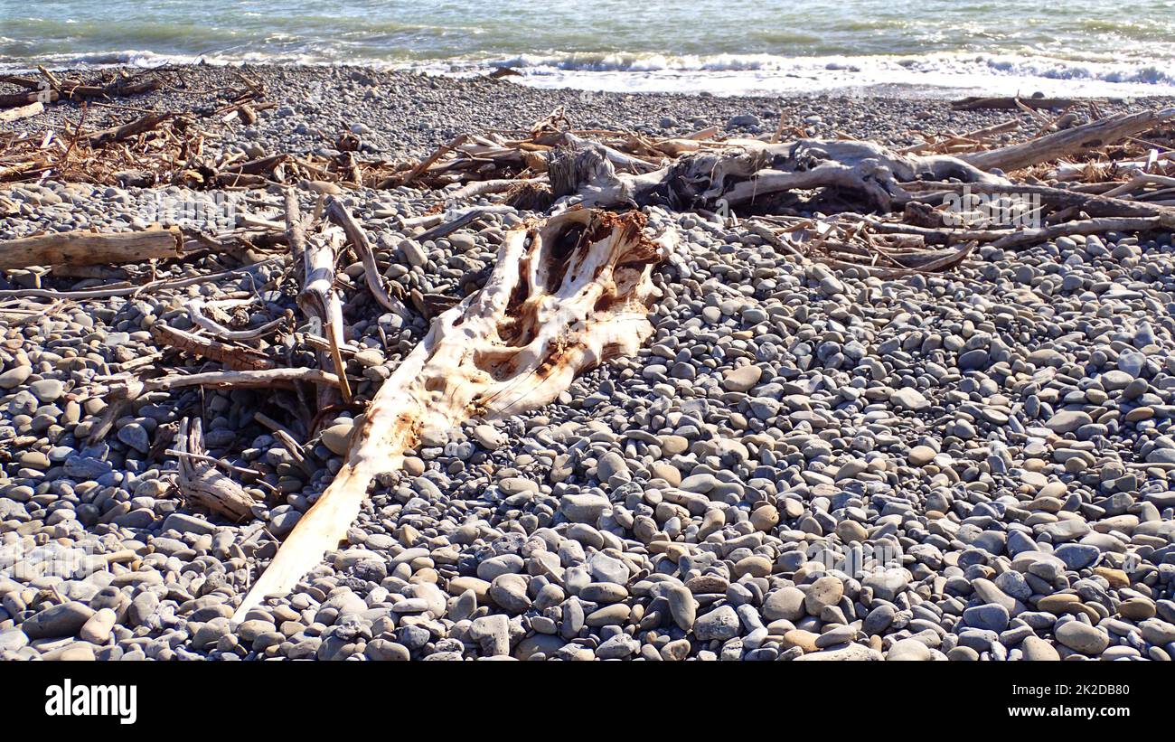Driftwood pieces, including a tree trunk, lay embedded and on top of  stones on Te Horo beach, NZ Stock Photo