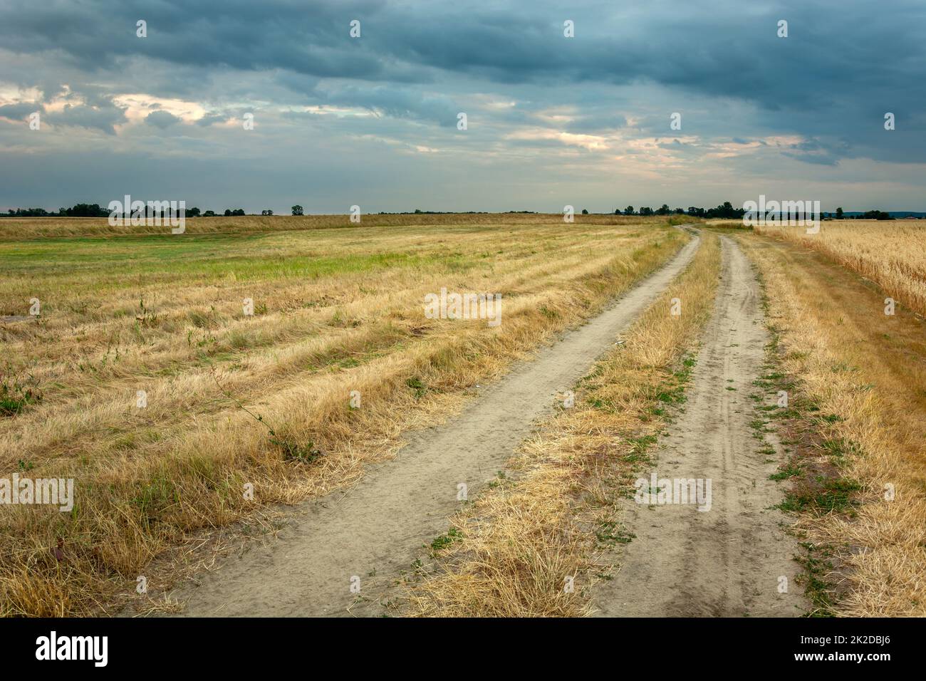 Dirt road through fields and cloudy sky Stock Photo