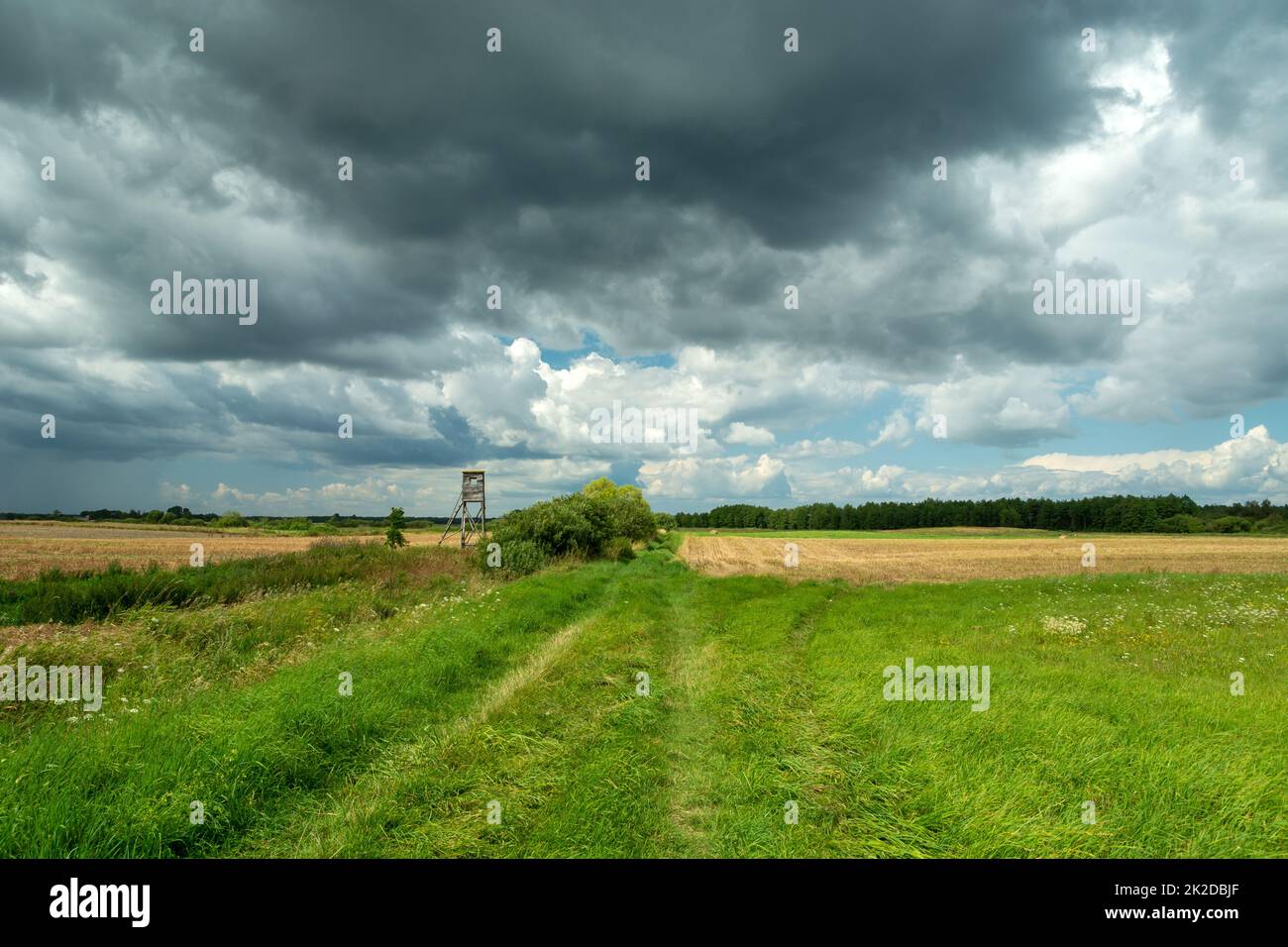 Dirt road through the fields and cloudy sky Stock Photo