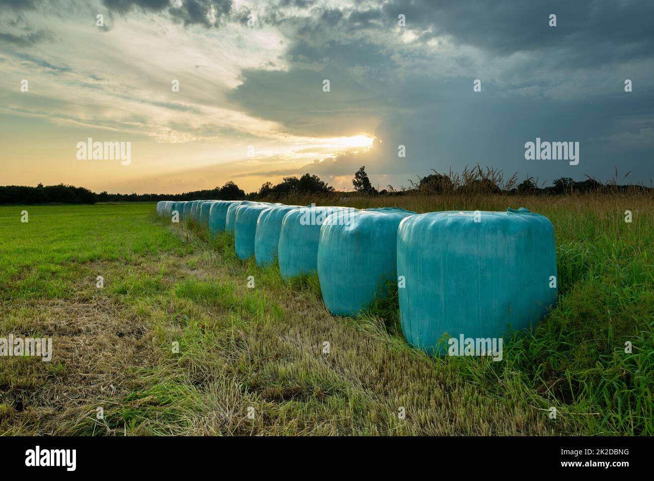 Hay bales in foil and the sunset behind the clouds Stock Photo Alamy