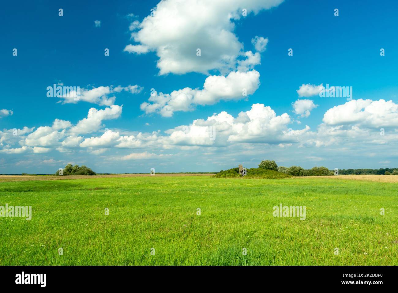 Green meadow and white clouds on the blue sky Stock Photo - Alamy