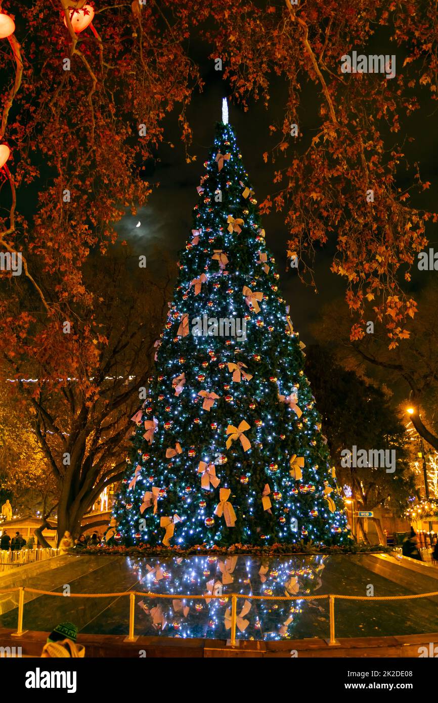Christmas tree in Vienna, Austria Stock Photo Alamy