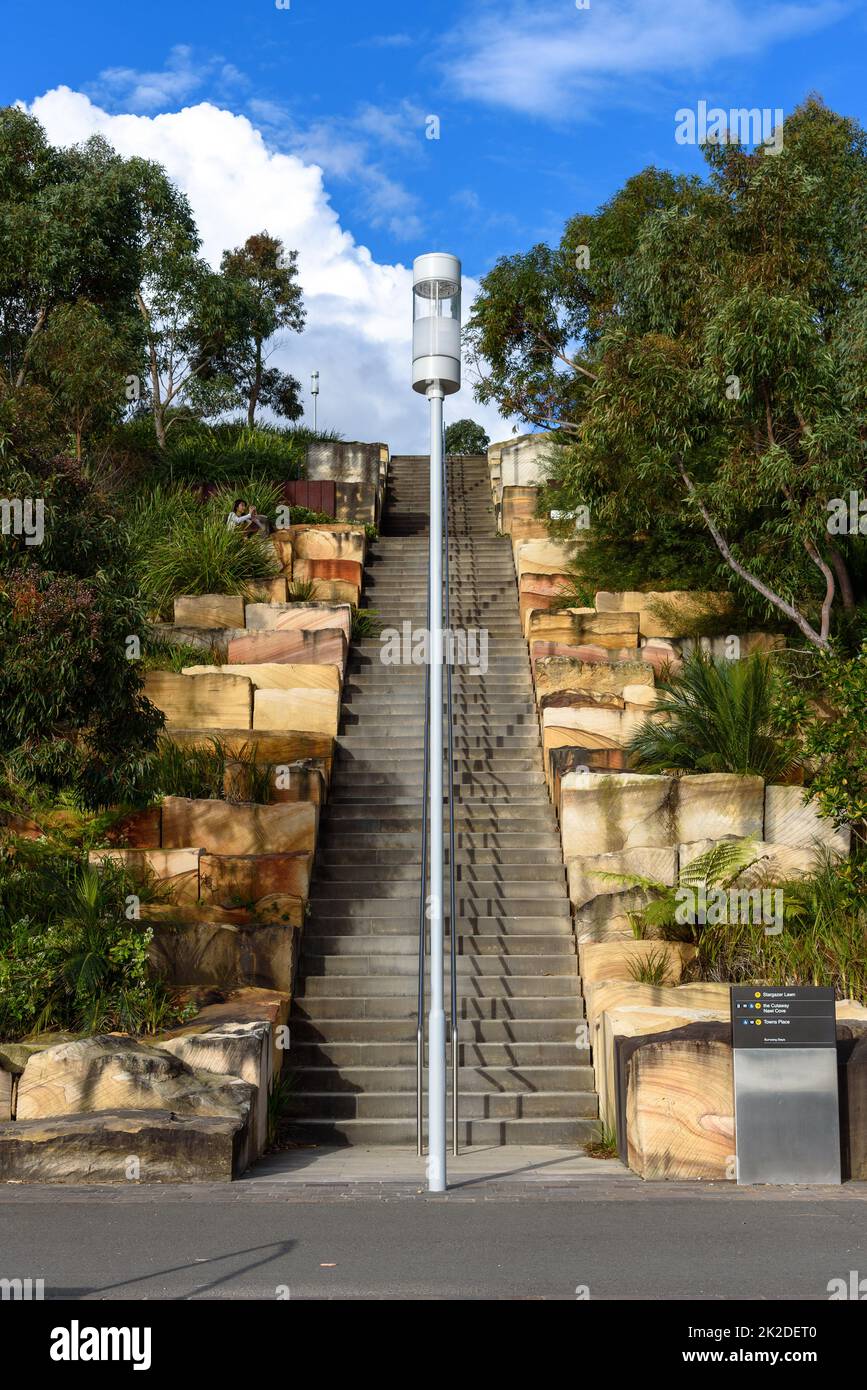 The Burrawang Steps on the Wulugul Walk at Barangaroo Reserve in Sydney Stock Photo