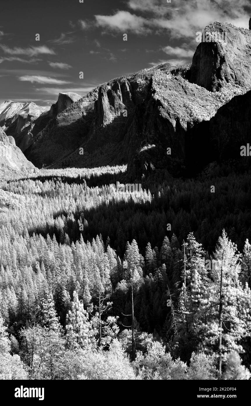 Infrared Yosemite Valley Stock Photo