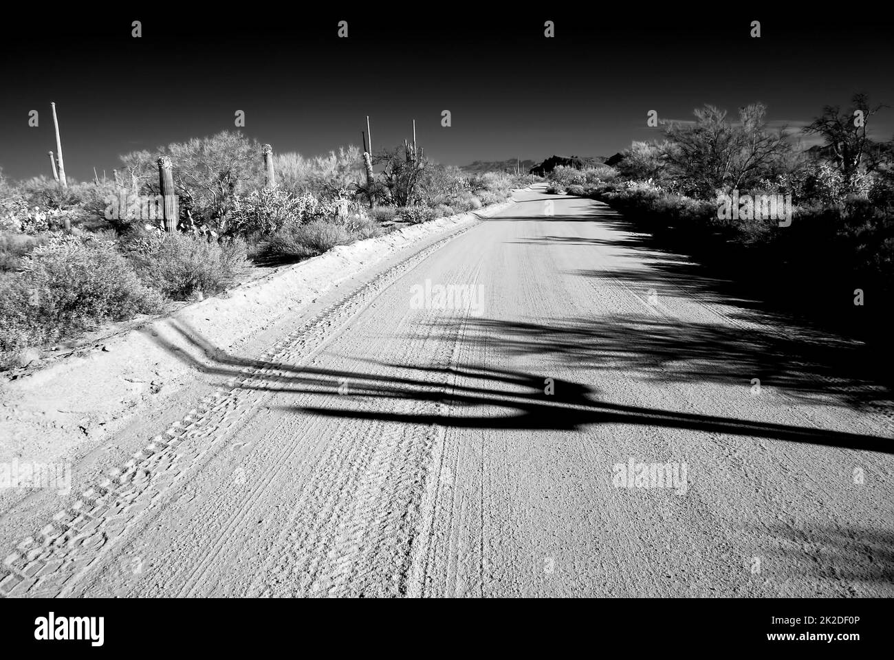 Infrared Sonora Desert Arizona Dirt Road Stock Photo