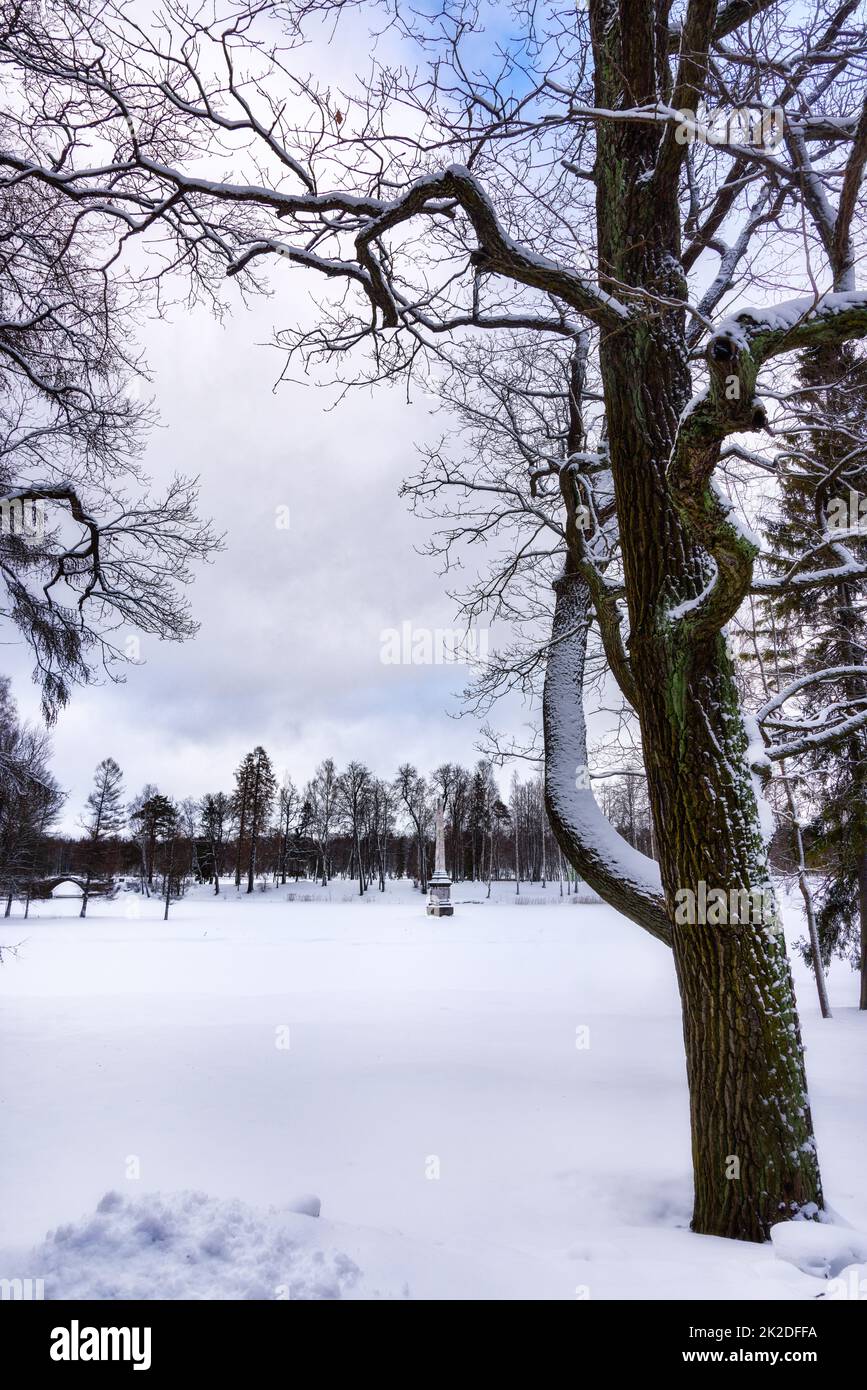 Winter landscape park alley hi-res stock photography and images - Alamy