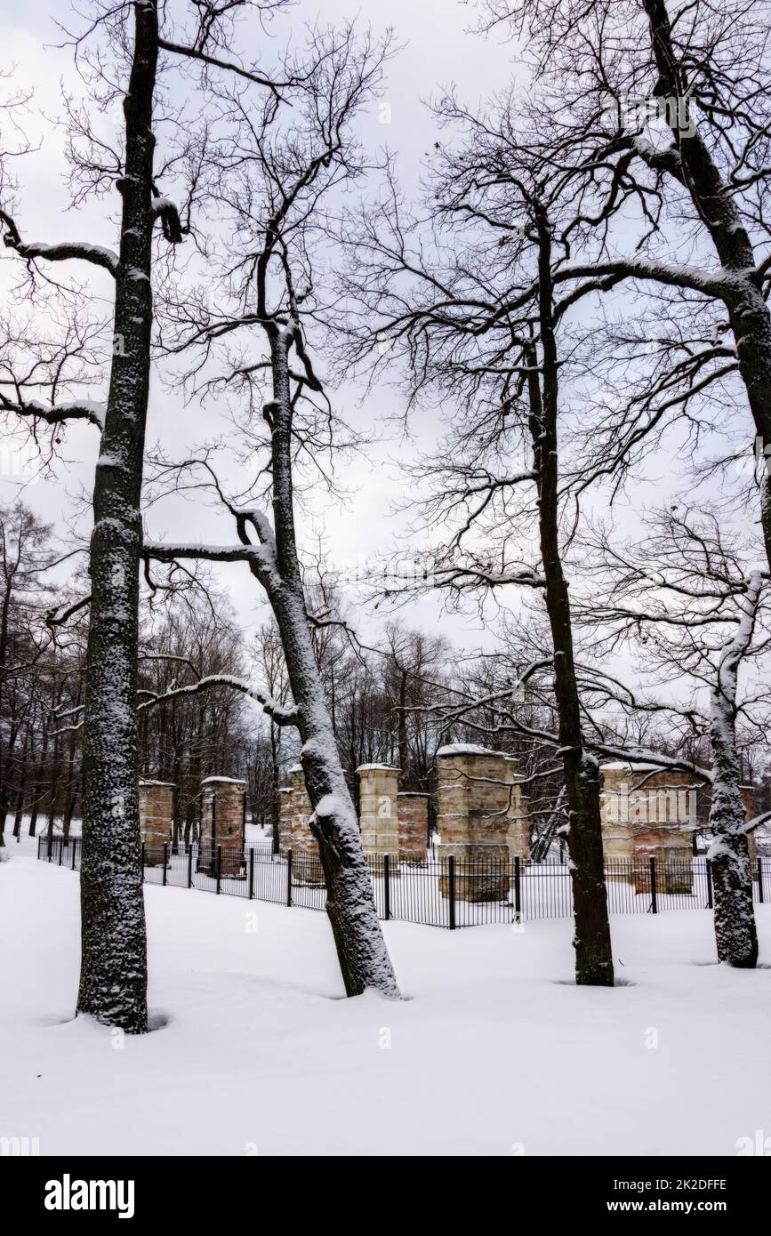 Winter landscape park alley hi-res stock photography and images - Alamy