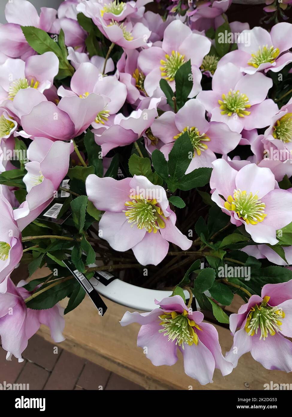 Beautiful bouquet of flowers hi-res stock photography and images - Alamy