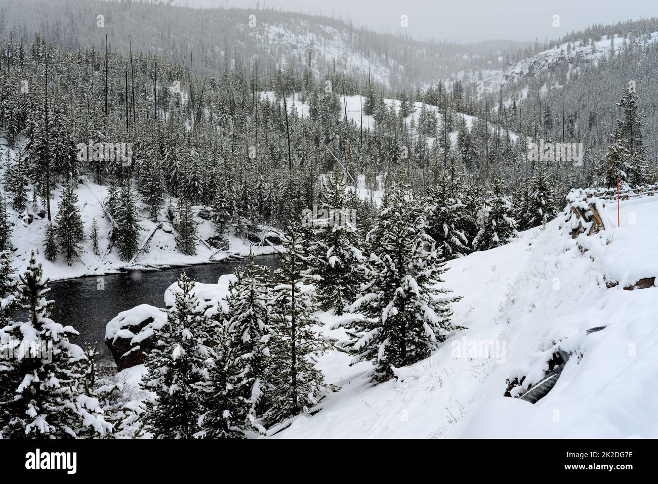 Yellowstone Winter Snow Madison River Stock Photo Alamy