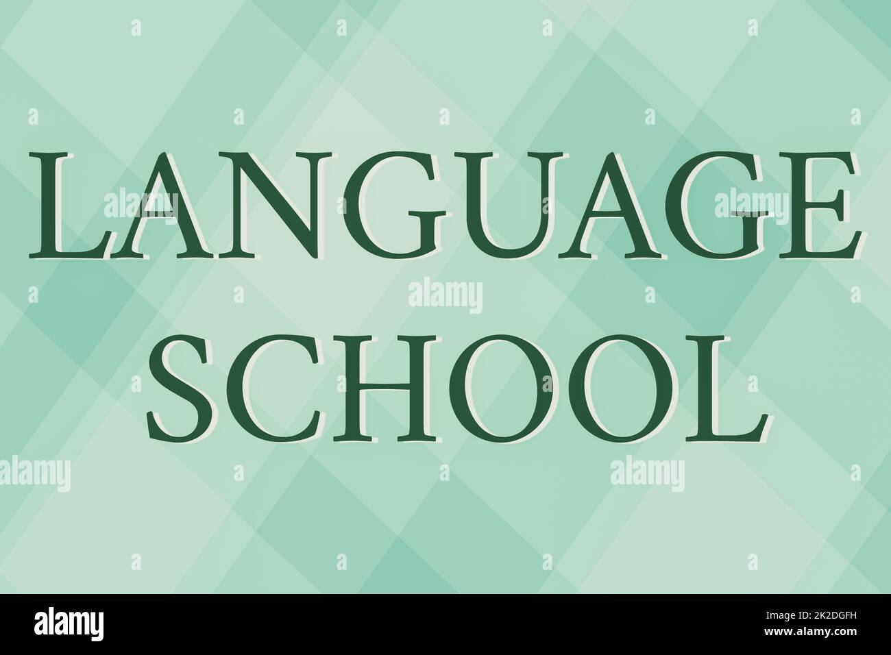 Handwriting text Language School. Business concept educational institution focusing on foreign languages Line Illustrated Backgrounds With Various Shapes And Colours. Stock Photo