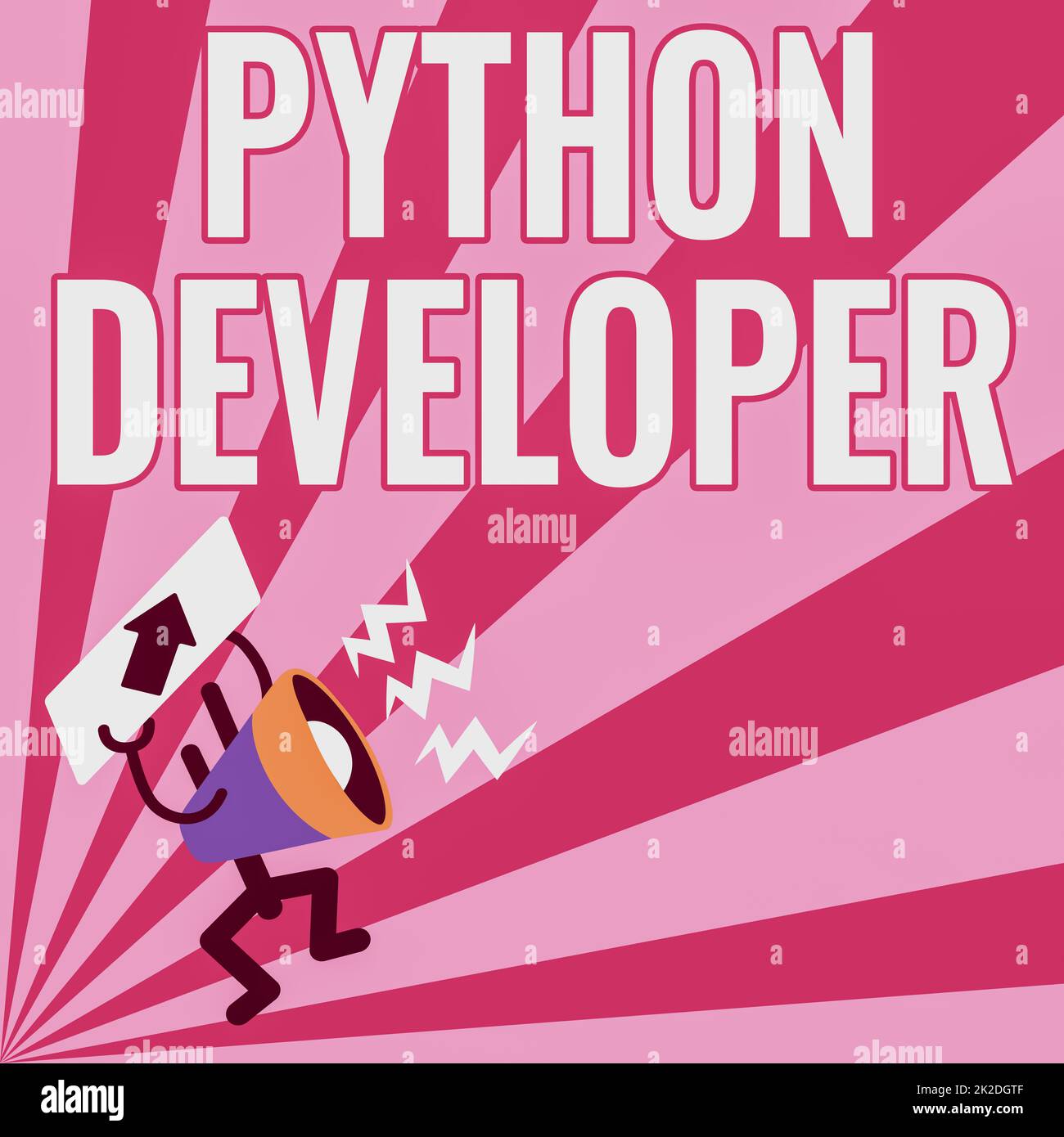 Conceptual display Python Developer. Business overview responsible for ...