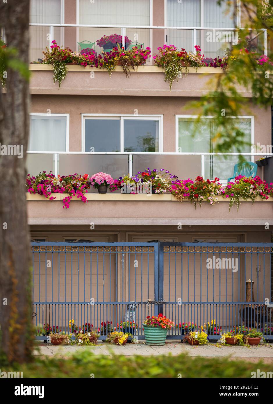 Front balconies on a residential building with flower boxes. Balcony