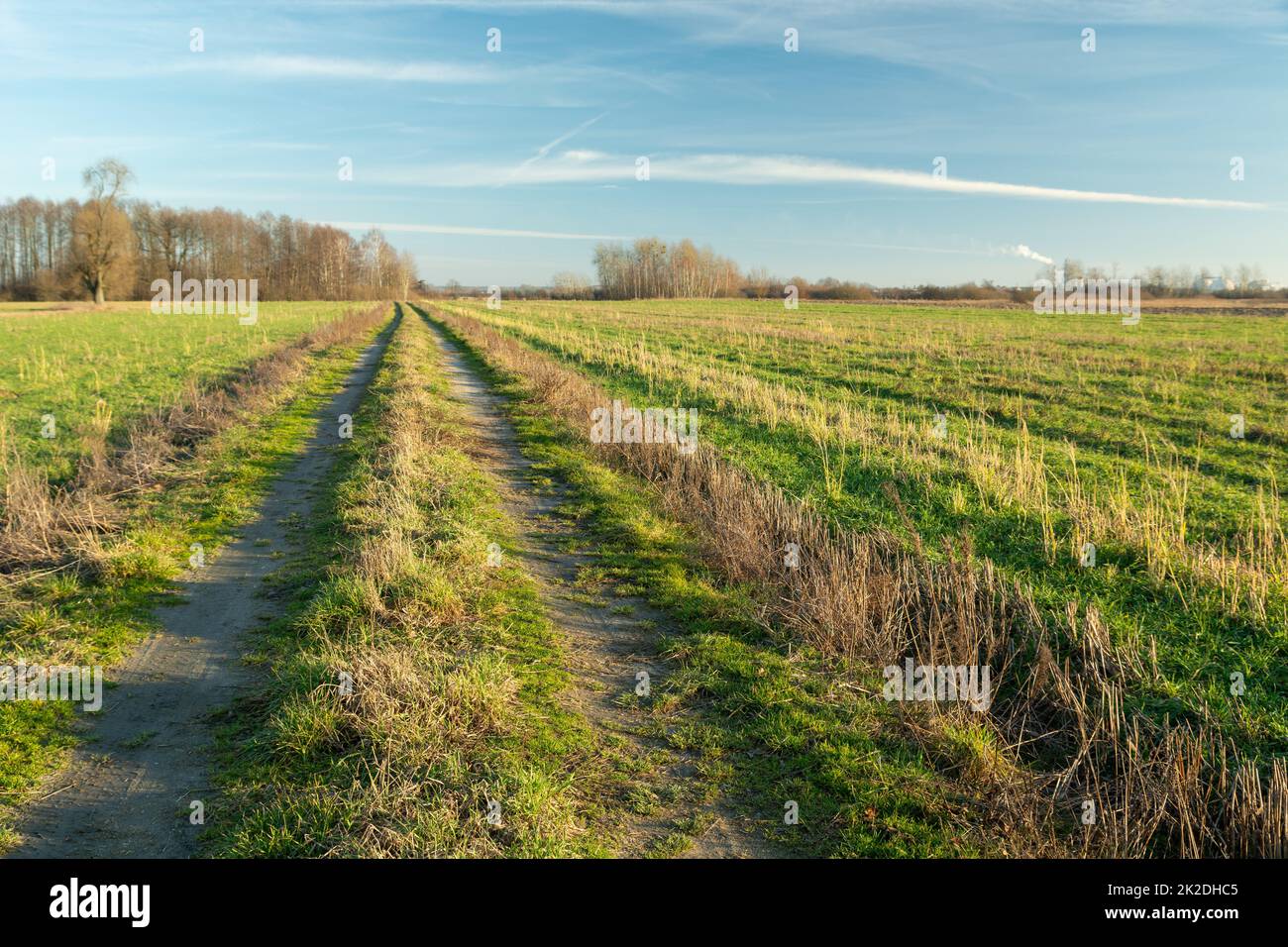 Dirt road through green fields, spring day Stock Photo