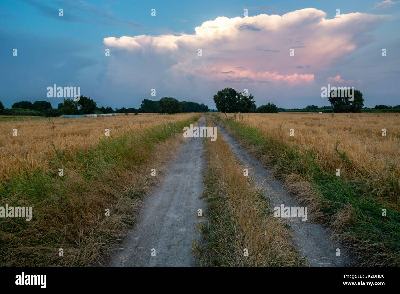 Dirt road through the fields and the evening sky Stock Photo