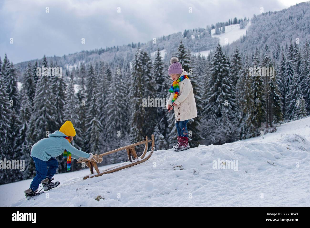 Boy and girl sledding in a snowy forest. Outdoor winter kids fun for Christmas and New Year. Children enjoying a sleigh ride. Stock Photo