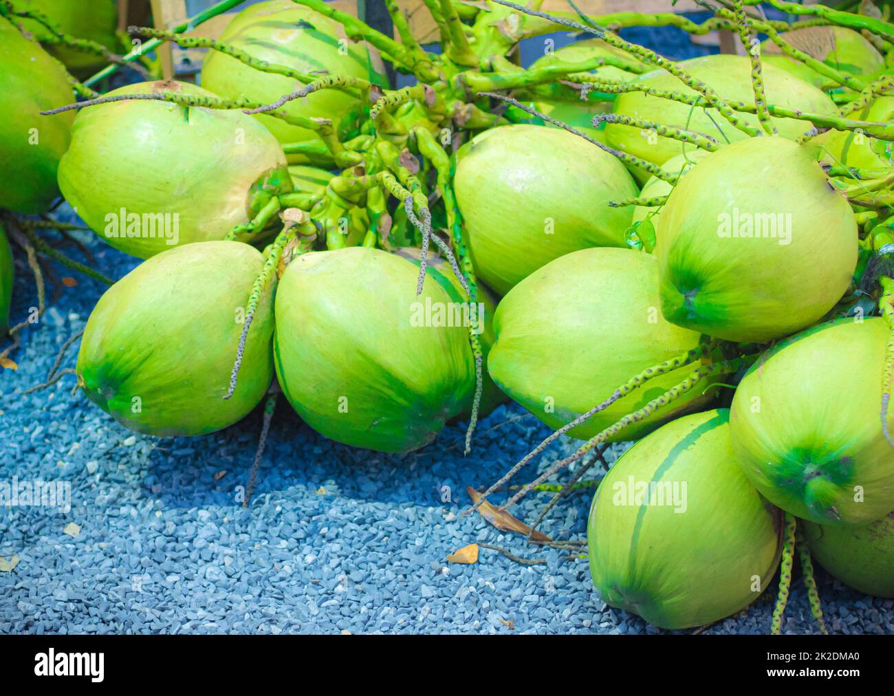 Fresh green coconut group for raw food and healthy drink Stock Photo ...