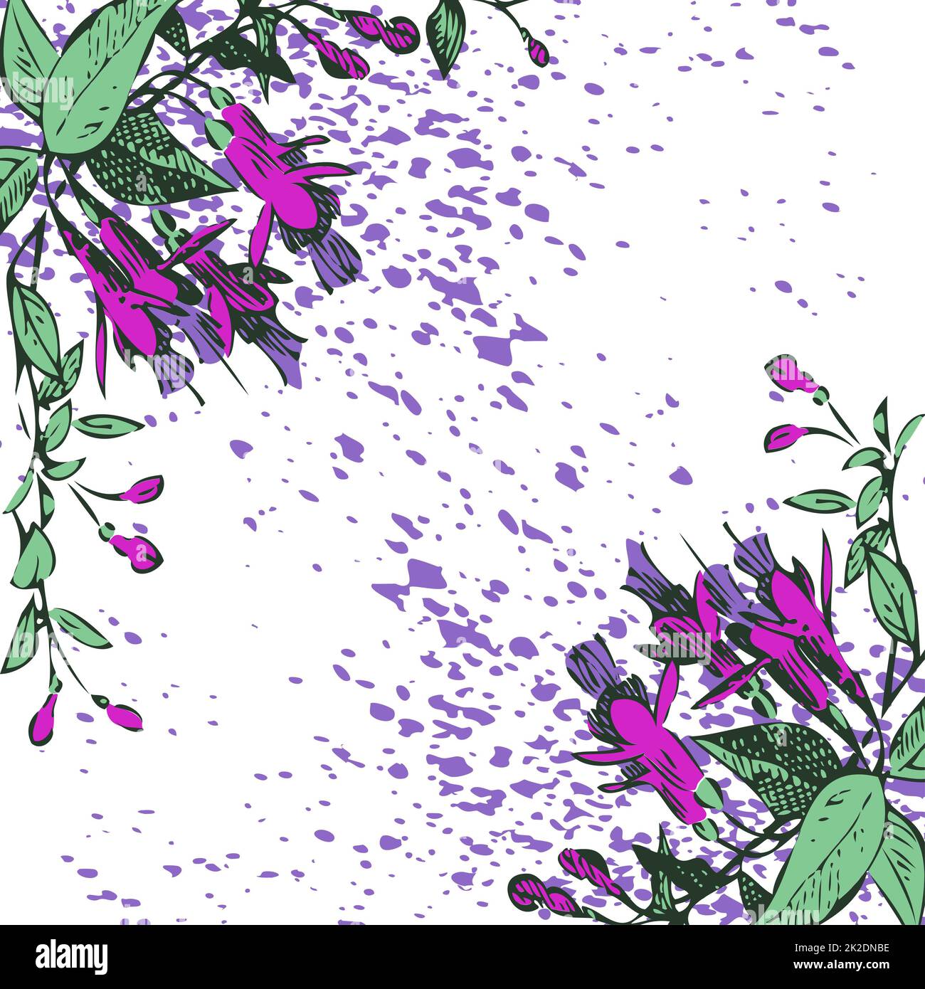 Attractively arranged bunch of flowers on white bacground. Drawn fuchsia flowers, artistic vector illustration. Floral botanical trendy pattern frame, graphic design with watercolor splatter Stock Photo