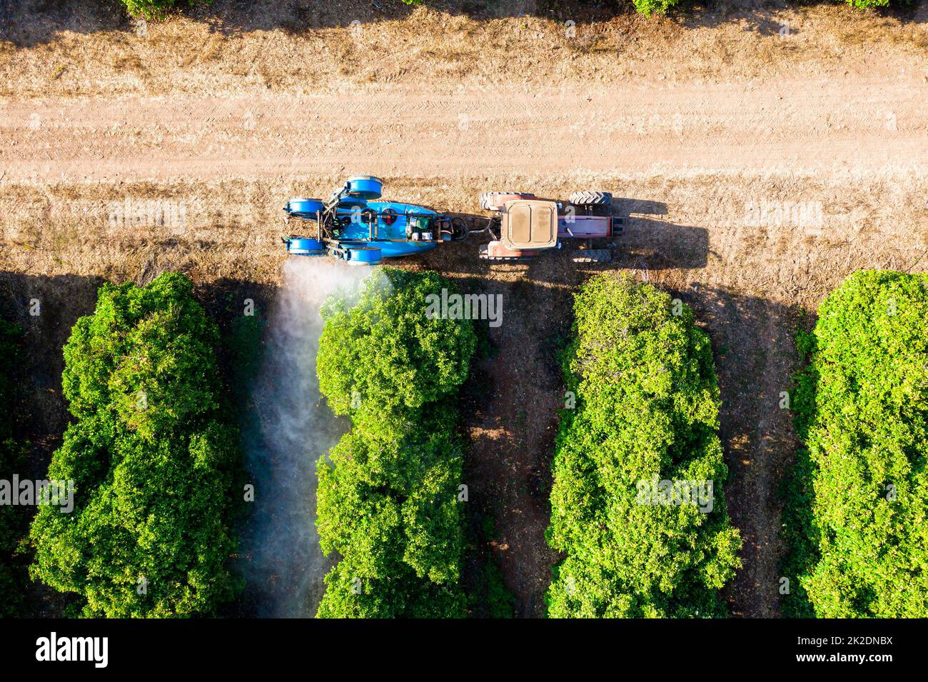 Tractor spraying insecticide or fungicide on orange trees. Overhead view Stock Photo Alamy