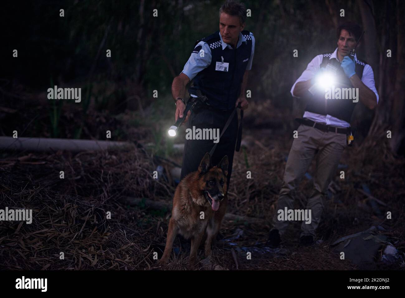 Theyll get their man. Shot of two policemen and their canine tracking a suspect through the brush at night. Stock Photo