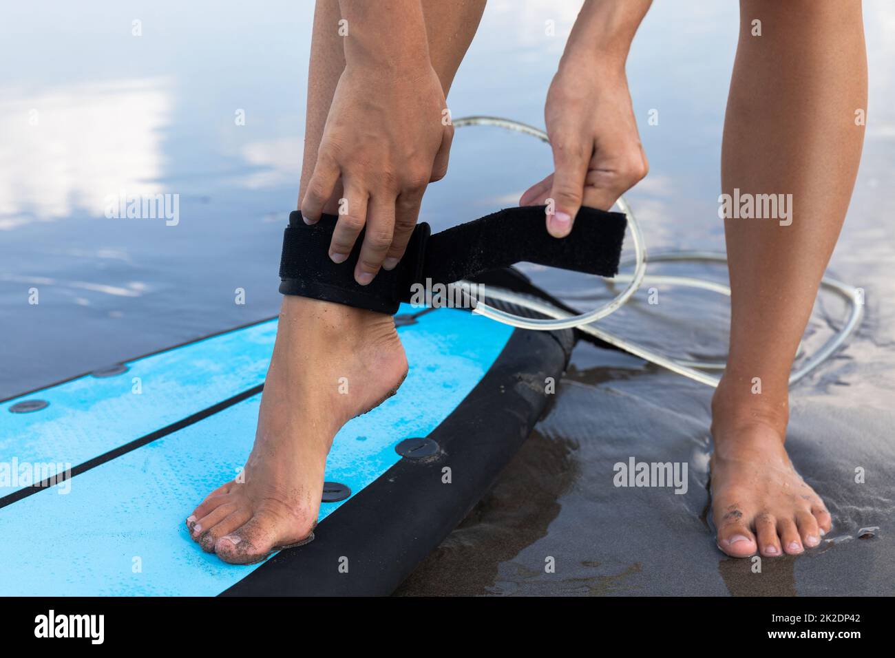 Woman is fastening surfing leash on her ankle Stock Photo Alamy
