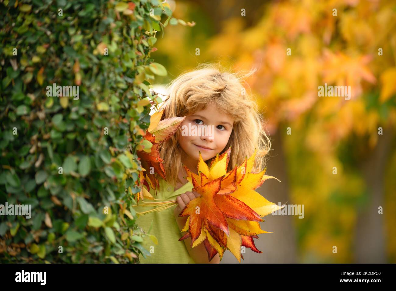 Kids face in autumn outdoor. Autumn outdoor portrait of beautiful happy child. Kid boy playing with leaves in fall autumn park. Stock Photo